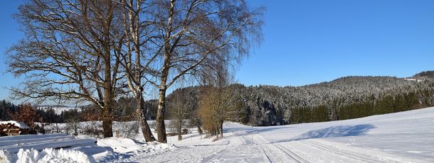Sonnenloipe und Winterwanderweg - Langlaufzentrum Grafenau