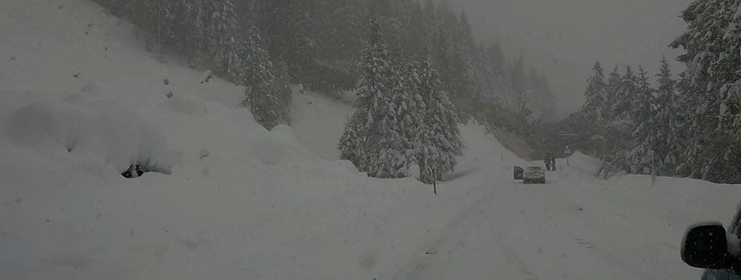 Around 2 pm, an avalanche reached the road towards the Stubai Glacier. Several skiers were on their way home at that time.