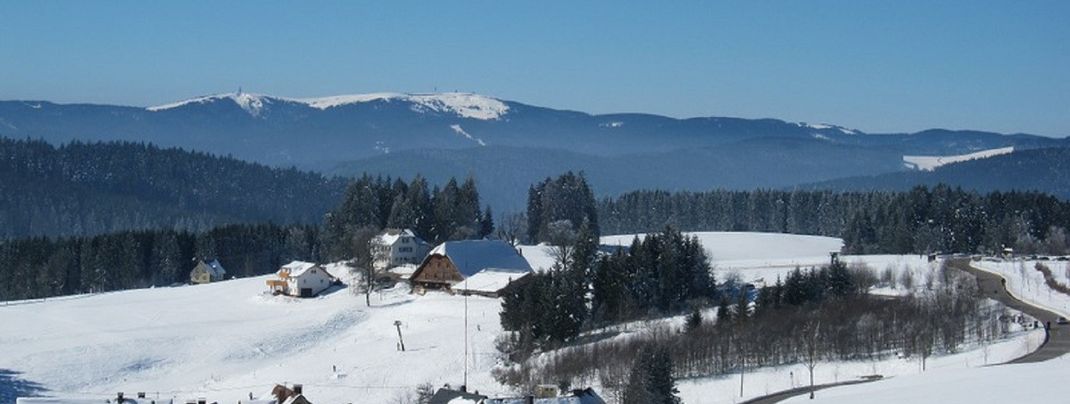 Blick von unserer Hochebene zum Feldberg