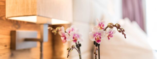 General information about your stay at Gasthof Ellmauer Hof