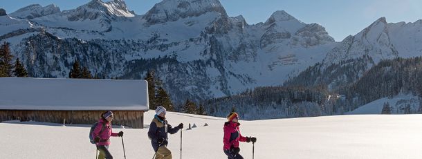 Detaillierte Infos zum Skiurlaub im Skigebiet Wildhaus