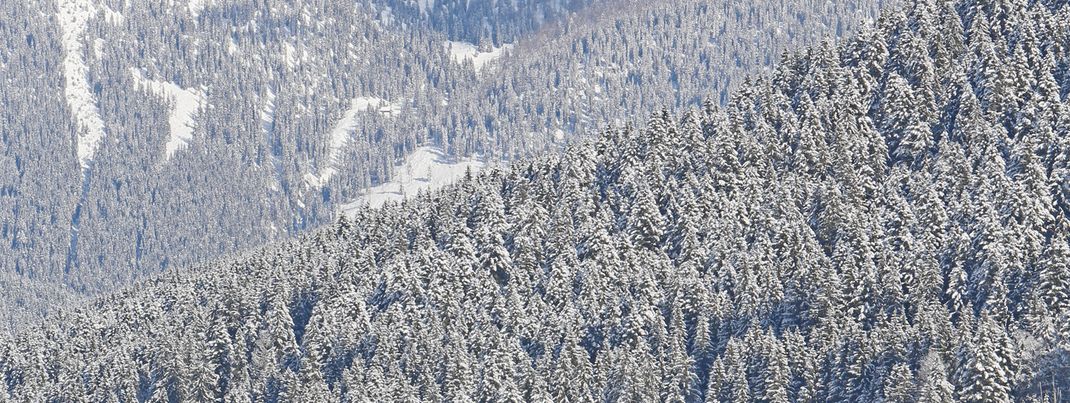 Gasthof Gosauschmied