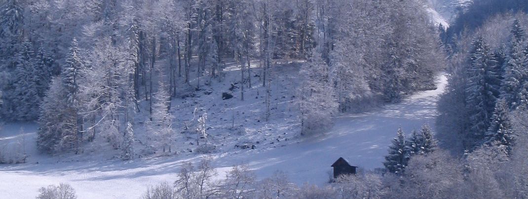 General information about your stay at Hotel Alpengasthof Schwand