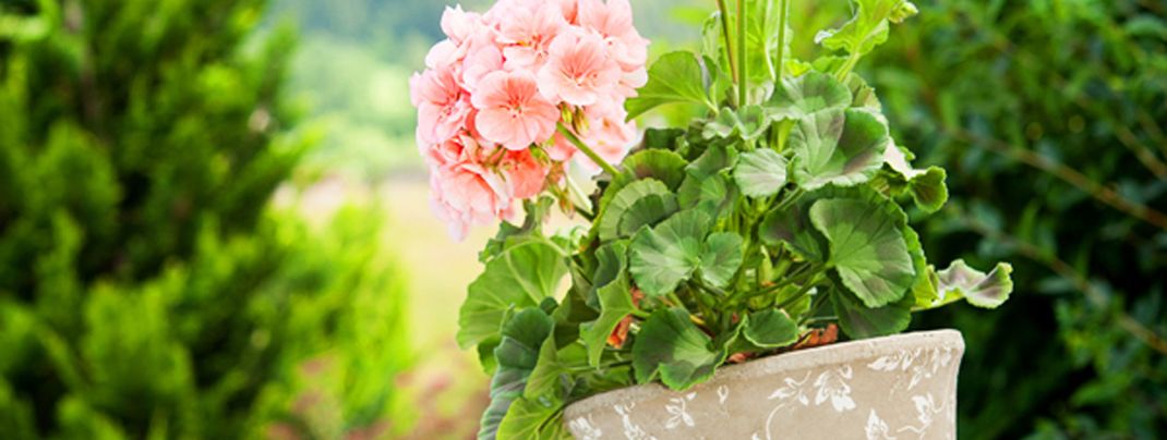 General information about your stay at Apart Heim