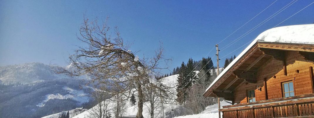 Detaillierte Infos zur Unterkunft Almliesl WAGR-135