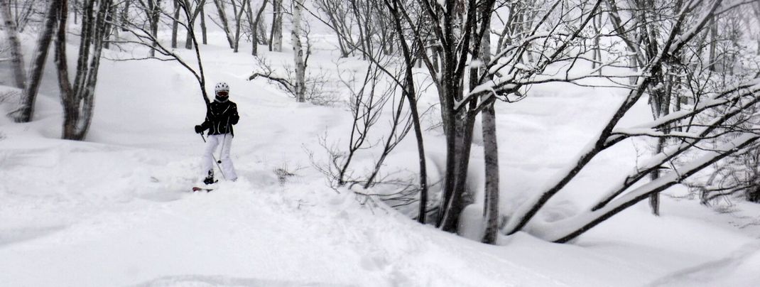 Ab durch den Tiefschnee in Yamabiko
