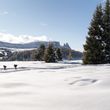 Information on Cross-Country Skiing at Seiser Alm