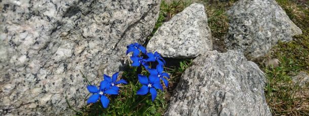 Wandern, Waken, Klettern, Rad fahren, Skifahren, M;ountainbiken, Eislaufen, Schlitten fahren, Langlaufen.......