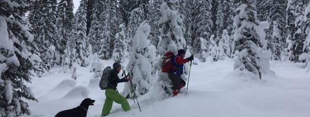 General information about your stay at Haus Patria