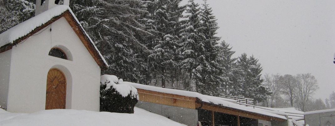 General information about your stay at Felder Josef