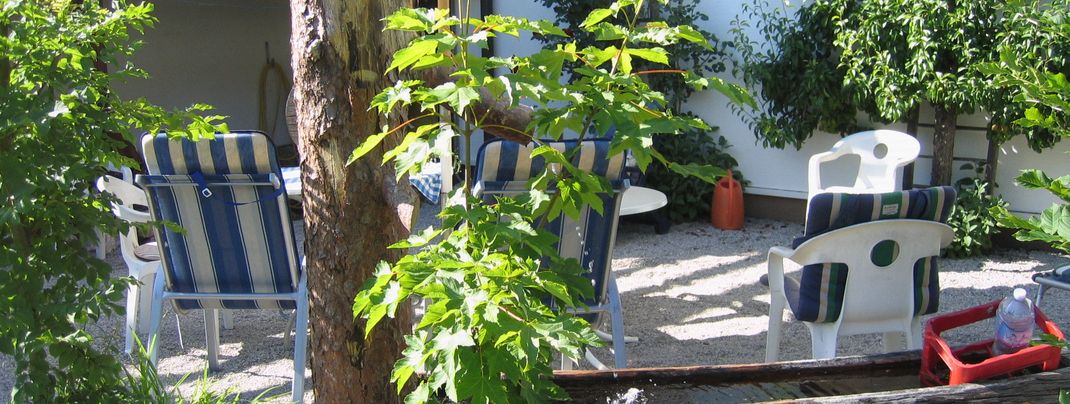 General information about your stay at Ferienhaus Ilsemann