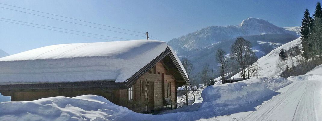 Detaillierte Infos zur Unterkunft Almliesl WAGR-135