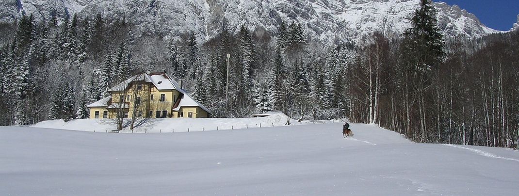 Leoganger Steinberge