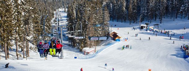 Information about the ski resort Rogla