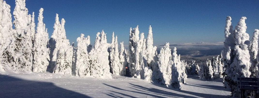 Sun Peaks hat aktuell traumhaften Schnee.