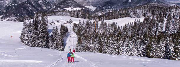 Information about the ski resort Golte