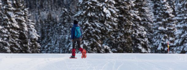 Information about the ski resort Rogla