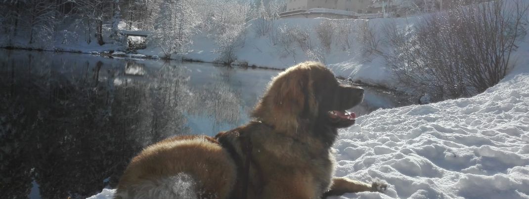 General information about your stay at Landhaus Dietersberg