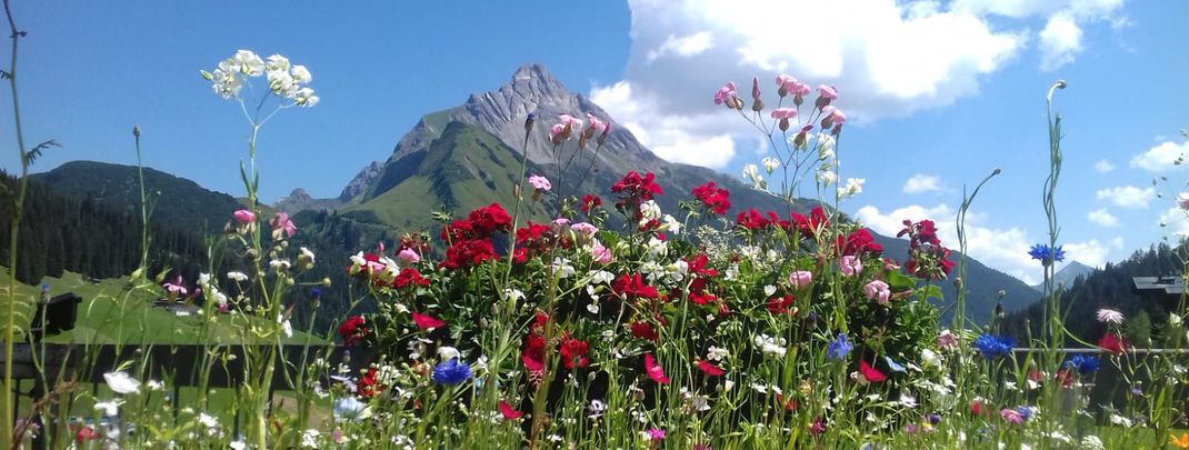 Detaillierte Infos zur Unterkunft Haus Anita