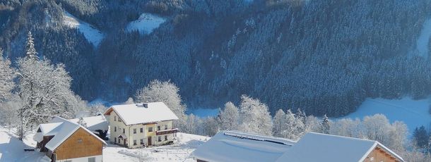 Detaillierte Infos zur Unterkunft Biobauernhof Poidlbauer