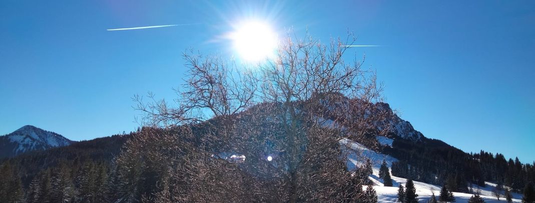 General information about your stay at Landhaus Wildschütz