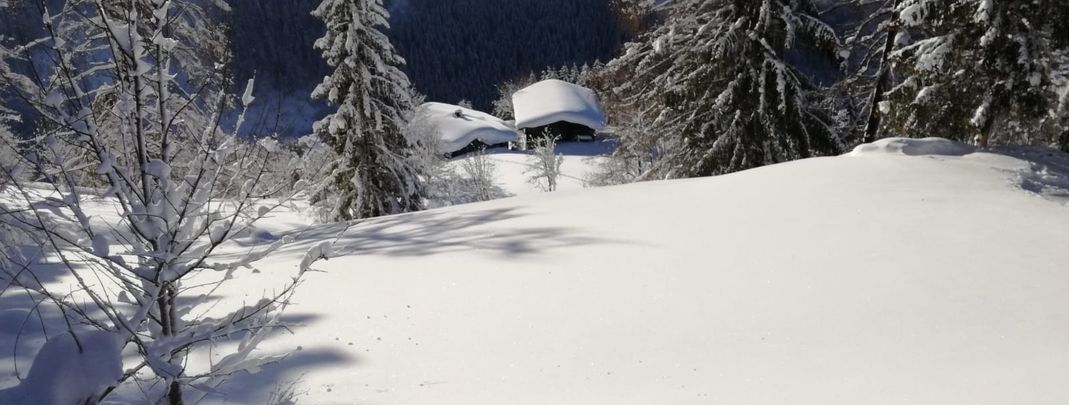 Detaillierte Infos zur Unterkunft Mitterunterberghof