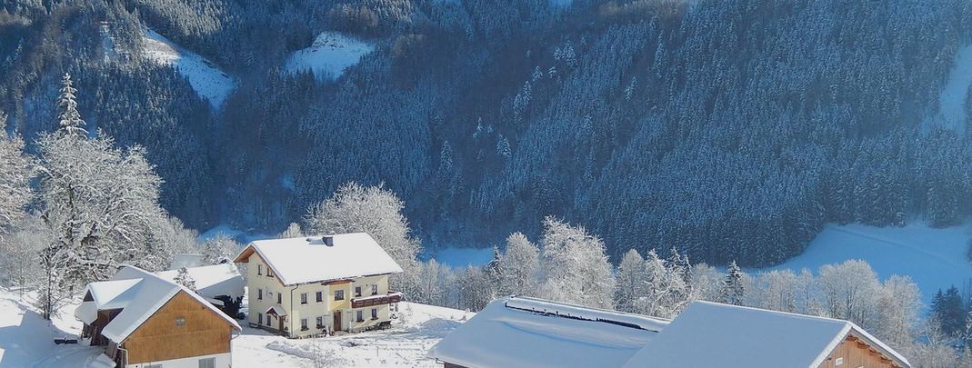Detaillierte Infos zur Unterkunft Biobauernhof Poidlbauer