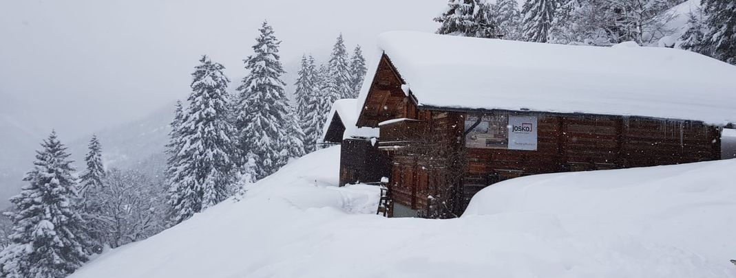 Detaillierte Infos zur Unterkunft Almliesl GAST-601