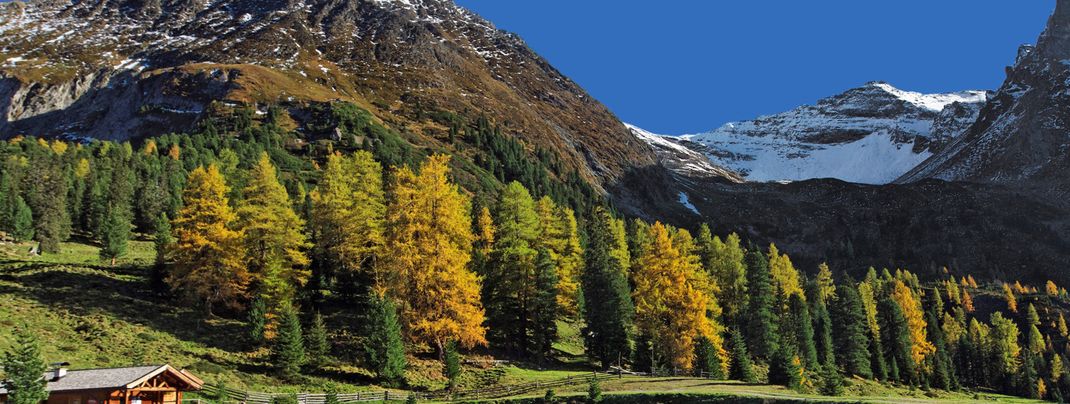 General information about your stay at Fewo Ahornblick