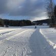 Information on Cross-Country Skiing at Cross Country Center Mauth-Finsterau
