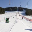 Information about the ski resort Lunz am See - Maiszinken