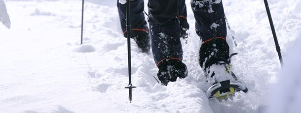 Wer erstmal genug vom Pistenspaß hat, kann sich die Schneeschuhe schnappen und eine Wanderung durch die verschneite Winterlandschaft starten.