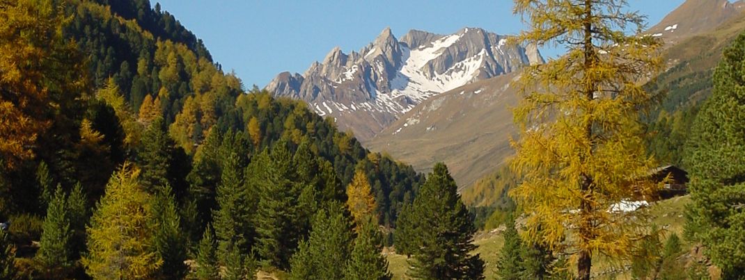 Aussicht Richtung Jagdhaus