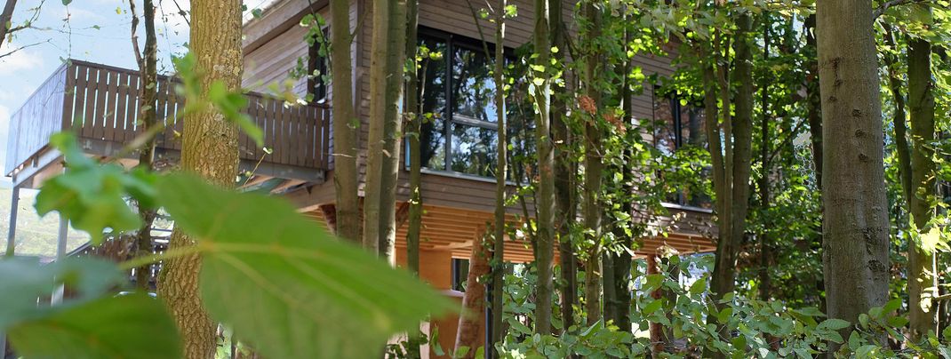 Detaillierte Infos zur Unterkunft Hotel Fire & Ice mit Baumchalets