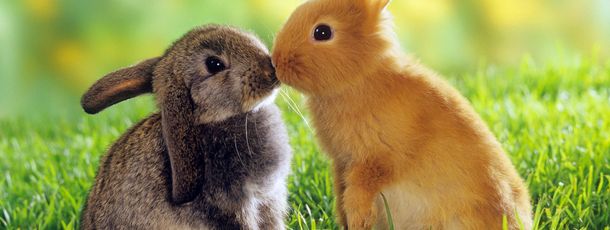 General information about your stay at Gästehaus Ingrid