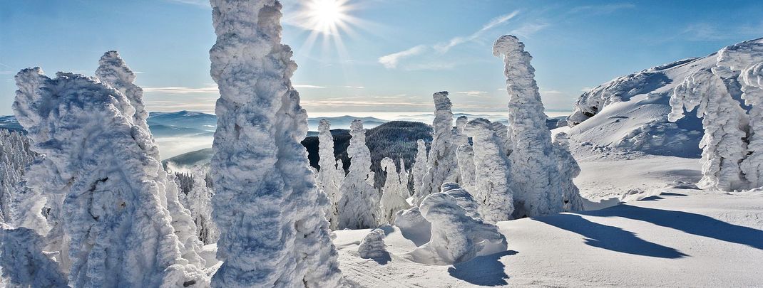 Detaillierte Infos zur Unterkunft Ferienwohnung Andres Piatka