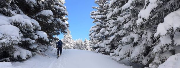 Detaillierte Infos zum Skiurlaub im Skigebiet Hochwang