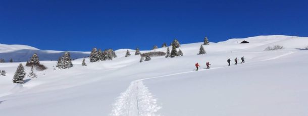 Information about the ski resort Hochwang