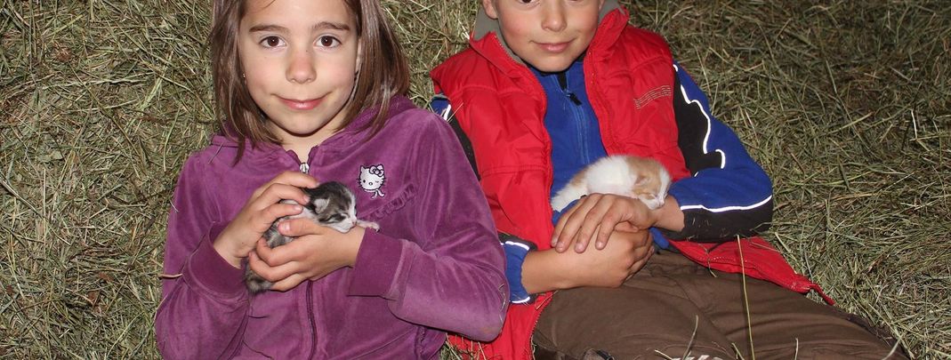 Detaillierte Infos zur Unterkunft Biobauernhof Poidlbauer