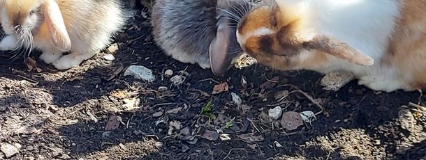 General information about your stay at Badhaus