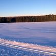Beim Langlaufen kannst du die tolle Aussicht zu den Bayerwaldbergen genießen.
