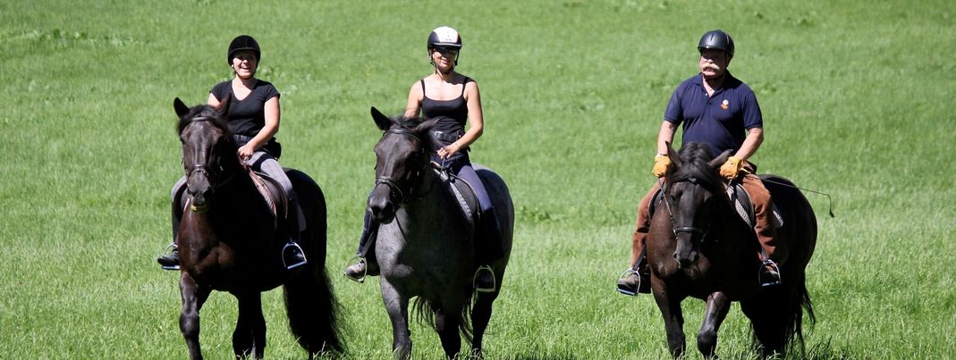 Ausritte und Reitunterricht