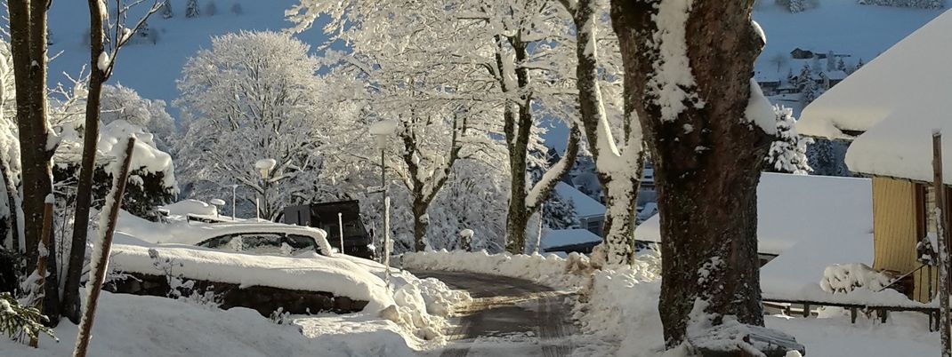 General information about your stay at Hotel Sonnenalm