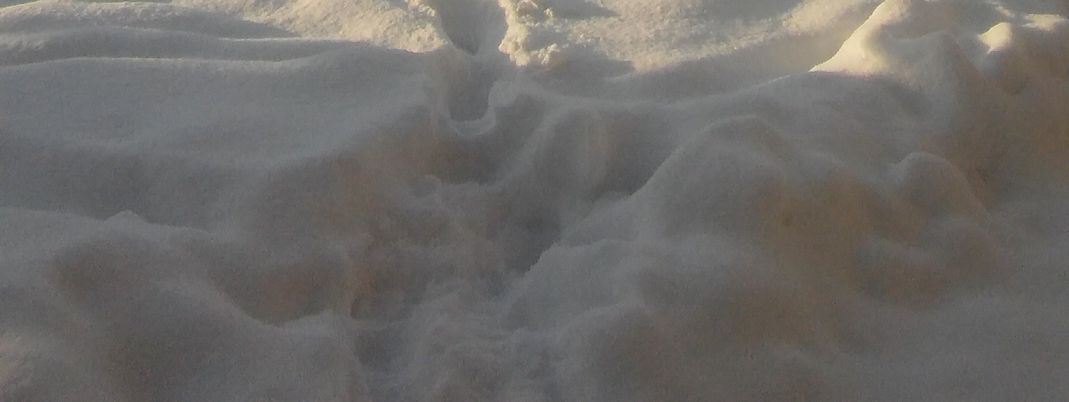 Detaillierte Infos zur Unterkunft Mussbachhof