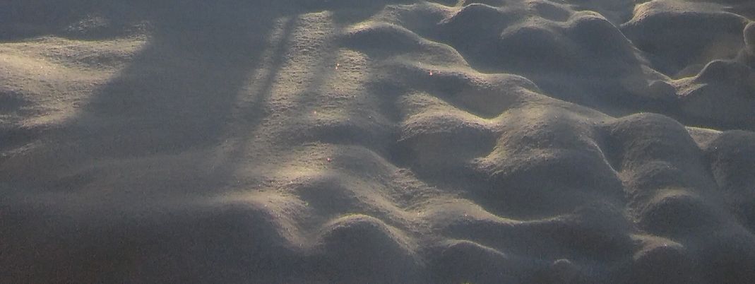 Detaillierte Infos zur Unterkunft Mussbachhof