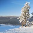 View of the northern slope, in the background the Brocken.