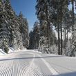Perfekt präparierte Pisten warten im Skigebiet Braunlage Wurmberg darauf entdeckt zu werden