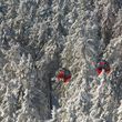 Die Wurmbergseilbahn im Winterwald