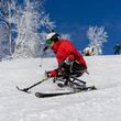 Information about the ski resort Whitetail Mountain Resort