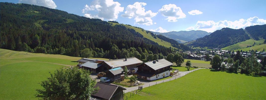 General information about your stay at Auhof